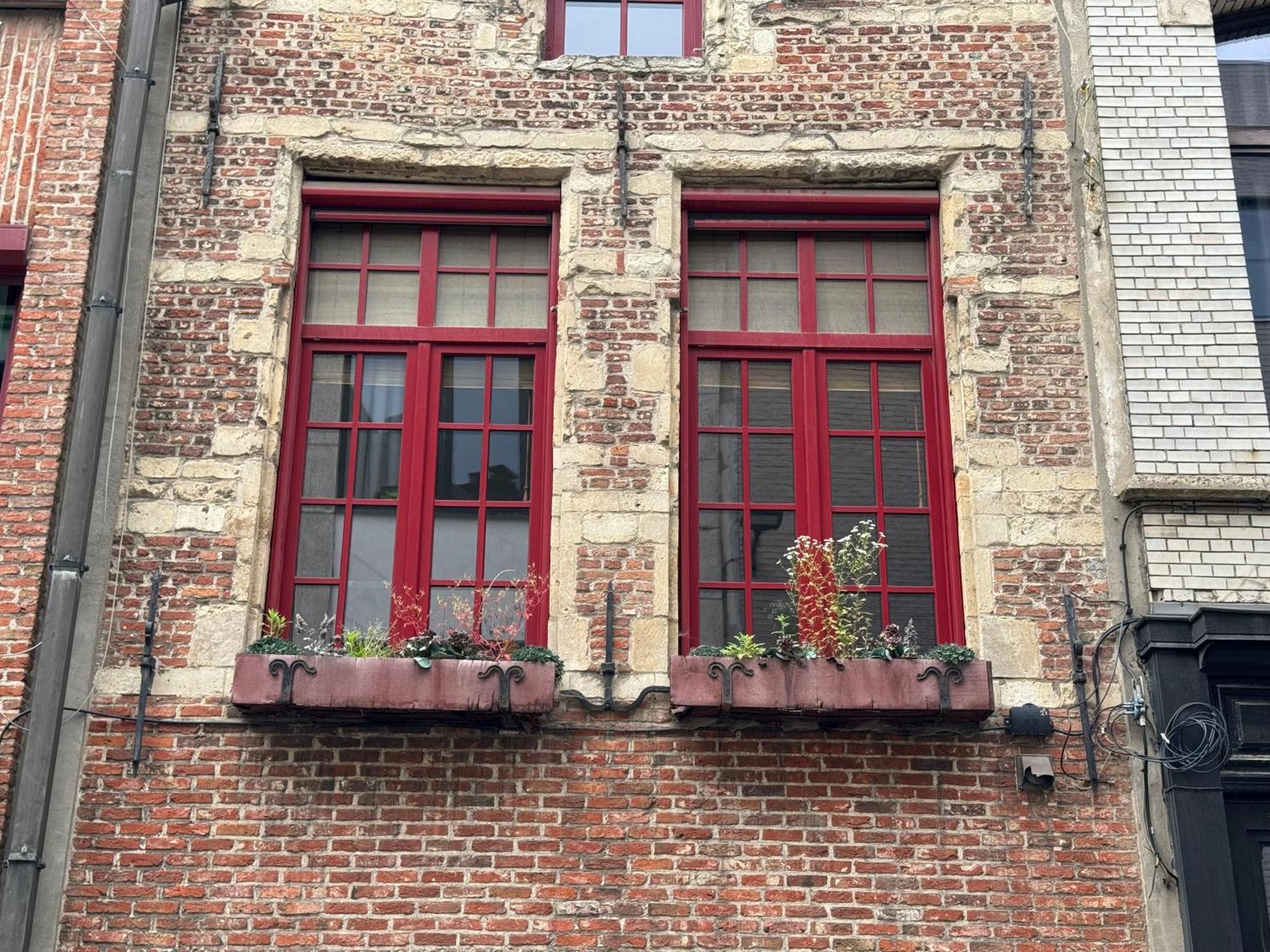 Garden Loft In City Center Meir 1Fl Anvers Dış mekan fotoğraf